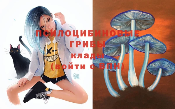 бутират Алзамай