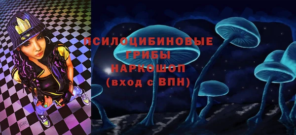 прущие грибы Алексеевка